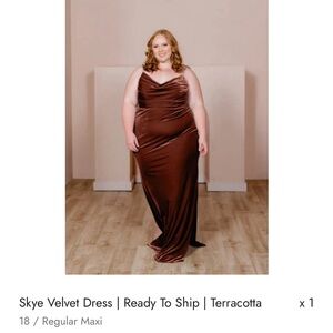 Worn once for 2 hours Reverly Velvet Bridesmaids Dress . Terracotta